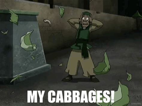 Happy National Cabbage Day  On Imgur