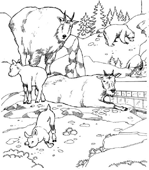 biome coloring pages coloring home