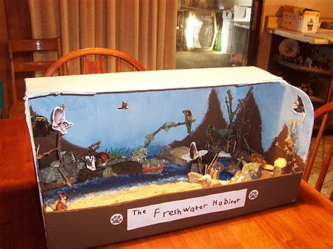 fresh water biome   seans biome diorama project  flickr