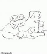 Dog Puppies Coloringpages Divyajanani sketch template