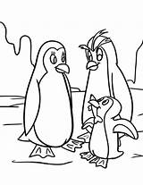 Penguins Pinguim Colorir Imprimir Sharee Barton Coloringbay Adelie sketch template