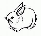 Rabbits sketch template
