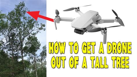 drone    tree iotquestioncom