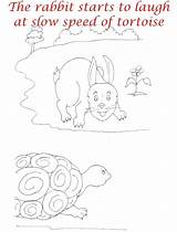 Tortoise Hare Rabbit Studyvillage Asd5 sketch template