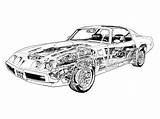 Pontiac Firebird Trans Am Drawing Cutaway Car 1980 Muscle 80s Tags Sports Cars sketch template