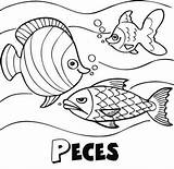 Peces Nadando Animales Pececitos Nadan Pecera Conmishijos Anterior sketch template