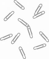 Clips Paper Clip Clipart Scattered Silver Colorful Transparent Office Clipe Cum Tits Paperclips Strewn Cliparts Sprinkles Webstockreview Sweetclipart Rainbow Clipground sketch template