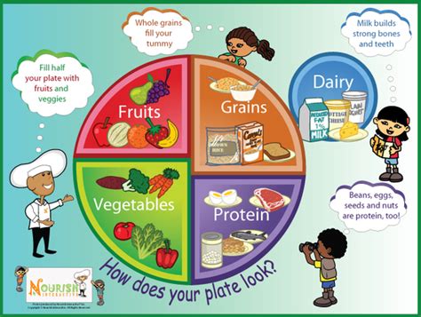 plate  food groups poster nourish interactive nutrition