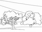 Coloring Tree Pages Trees Kids Printable Print Colouring Sheets Nature Toddlers Bestcoloringpagesforkids sketch template