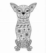 Coloring Pages Chihuahua Adult Mandala Dog Animal Colorear Para Perro Amazon Perros Animales Unavailable Item sketch template