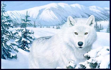 wolf night  winter wolf