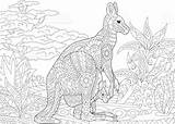 Kangaroo Kangourou Wallaby Animal Zentangle Coloriage Stiliserade Mandalas Canguros Outback Coloration Animales Vektorn Illustrationen Canguro Malen Animalitos Illustrationer Stylisé sketch template