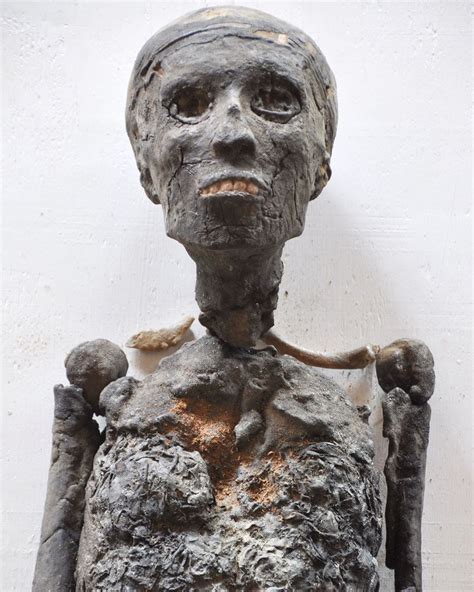Independent Scientist Mummy Of King Tut