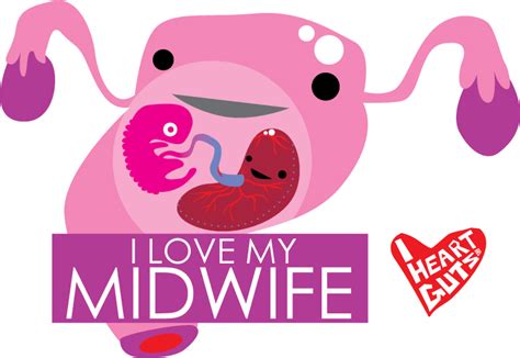 meet the organs a midwifery geek must have nurturing midwifery♡