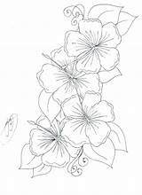Coloring Violet Flower Getcolorings sketch template