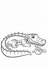 Cocodrilo Alligator Huevo Caiman Malvorlagen Mamá sketch template