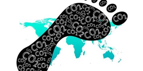 Huella De Carbono Negocios Sostenibles