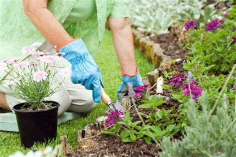 La Jardineria Como Actividad Para Nuestras Personas Mayores – Jardines