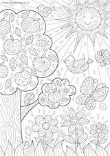 Colouring Summer Nature Doodle Pages Become Member Log sketch template