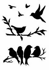 Stencil Birds Bird Stencils Clipart Designs sketch template