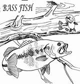 Coloring Pages Bass Fish Fishing Color Hungry Kids Trending Days Last Projects sketch template
