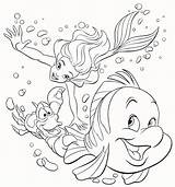 Ariel Mewarnai Kartun Sketsa Tokoh Arielle Mermaids Sereia Tinkerbell 5k sketch template