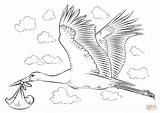 Baby Stork Draw Coloring Pages Drawing Storks Step Printable Tutorials Popular Coloringpagesonly Coloringhome sketch template
