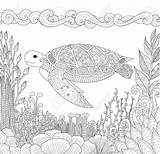 Turtle Coloring Adult Beautiful Vector Book Corals Colouring Stock Zendoodle Swimming Ocean Zentangle Stress Anti Element Draw Tattoo Shirt Illustration sketch template