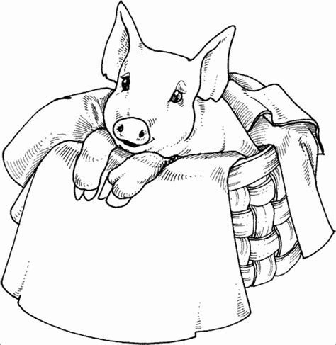 pig coloring page  printable coloring pages vrogueco