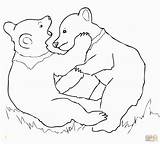 Grizzly Coloring Pages Bear Bears Divyajanani sketch template