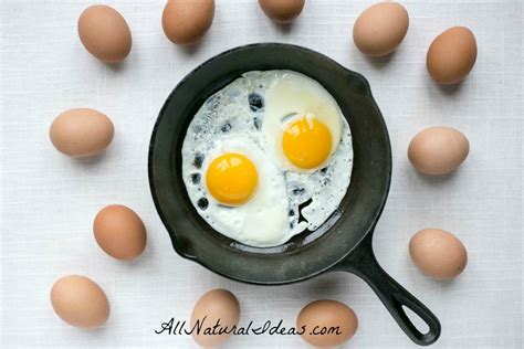 egg fast diet  lose weight quickly  natural ideas