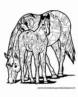 Coloring Mandala Horse Intricate Printable Colt Fun Adult sketch template