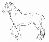 Paarden Paard Uitprinten Downloaden sketch template