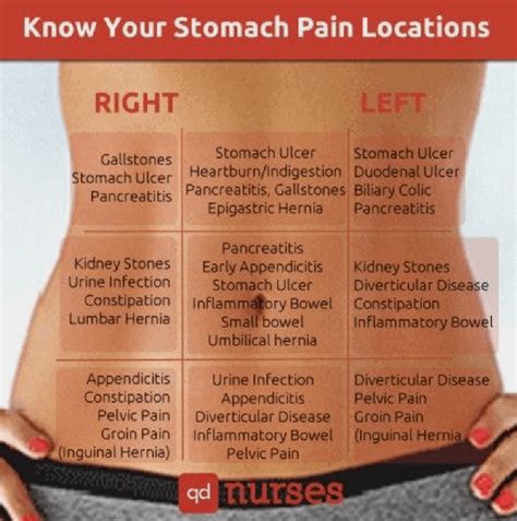 stomach pain locations rcoolguides