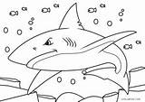 Shark Blauhai Cool2bkids sketch template