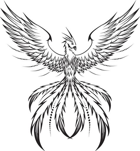 phoenix bird  drawing