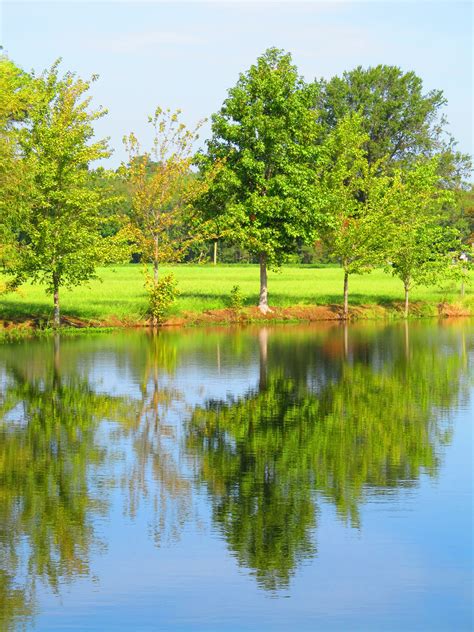 reflection on a still pond