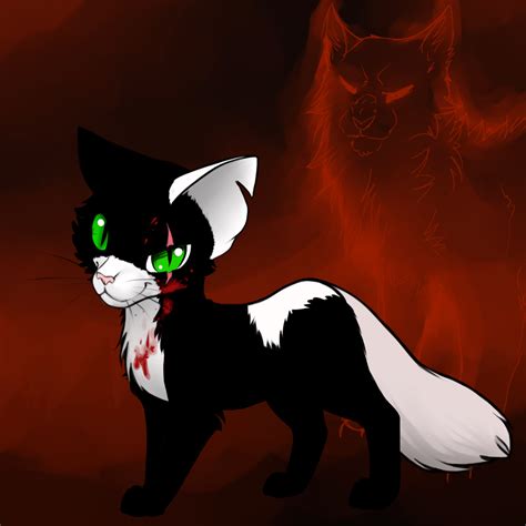 evil cat snowtail