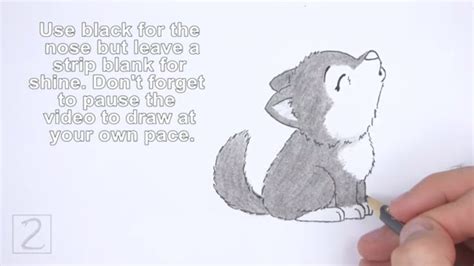 draw  cute howling wolf  howdrawanimals  youtube wolf cartoon drawing