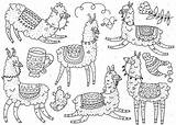 Lama Llama Coloriage Lamas sketch template