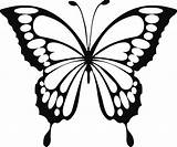 Butterfly Svg Outline Drawing Simple Stencil Template Easy Cricut Printable Papillon Sketch Cut Pencil Colorful sketch template