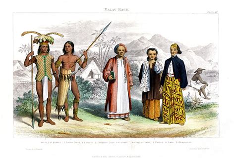 Malay Race 1800 1900 Artist R Anderson Drawing By Print Collector