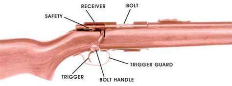 intermediate skills firearms industry bev fitchetts guns
