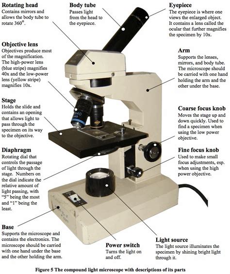 microscope  netherys class