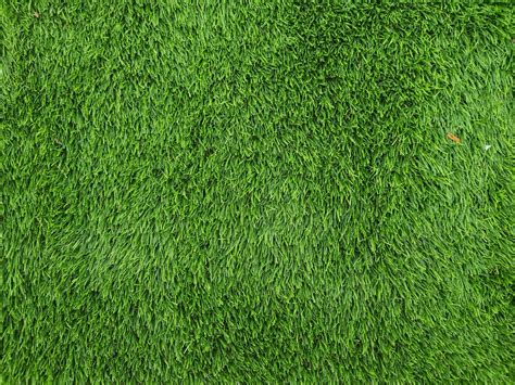 green astro turf background texture  stock photo public domain pictures
