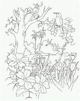 Coloring Eden Garden Colouring Clip Bible Clipart Library Drawings Popular sketch template