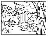 Foret Printables Rainforest Bestcoloringpagesforkids Deciduous Ancenscp Printablesfree Clipartmag sketch template