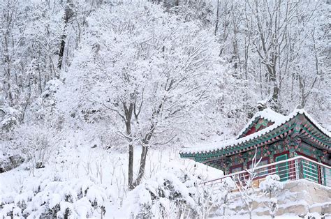 winter  korea  incredible places  visit  korea  winter updated  travel
