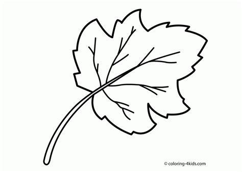 leaves coloring pages  print   leaves coloring