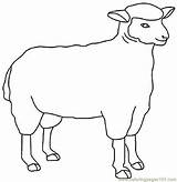 Sheep Coloring Outline Pages Drawing Printable Lamb Draw Sheeps Flock Colouring Clipart Drawings Color Animals Paintingvalley Popular sketch template